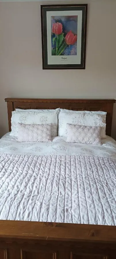 Bed & Breakfast The Lodge B&B Galway