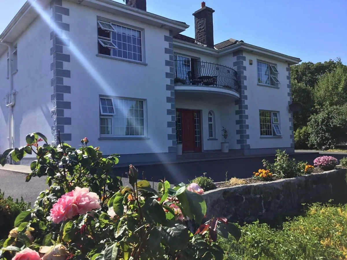 The Lodge B&B Galway 0*,
