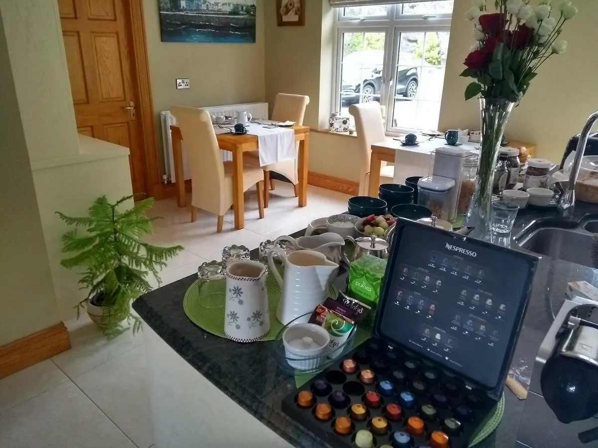 Bed & Breakfast The Lodge B&B Galway Ireland